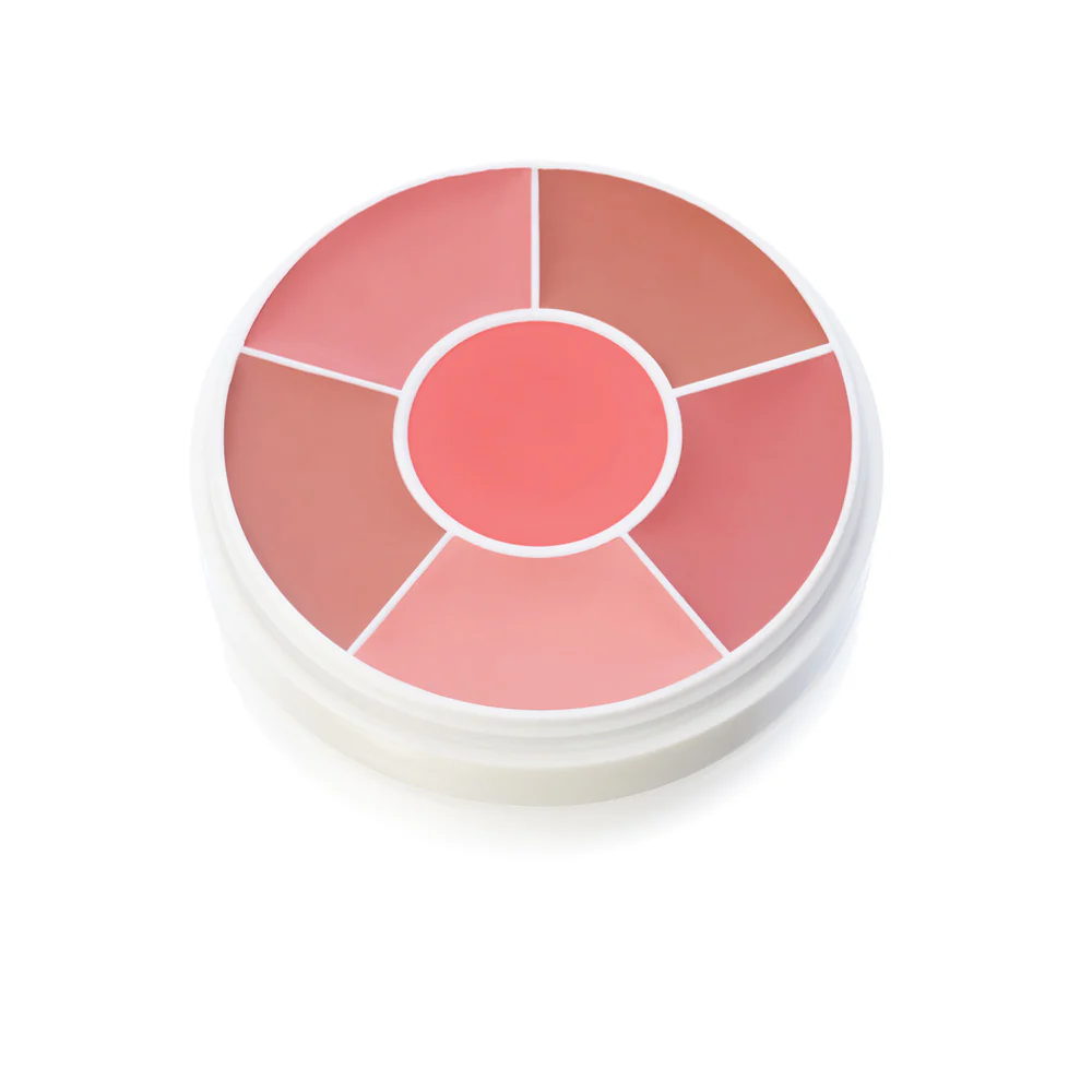 Creme Blush and Contour Wheels - Ben Nye - Image 5