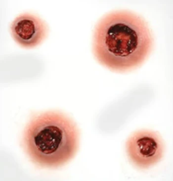 "Capped" Bullet Holes - Tinsley Transfers - Image 3