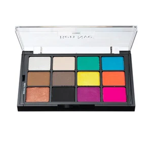 Studio Color Blush & Eyeshadow Palettes - Ben Nye - Image 8